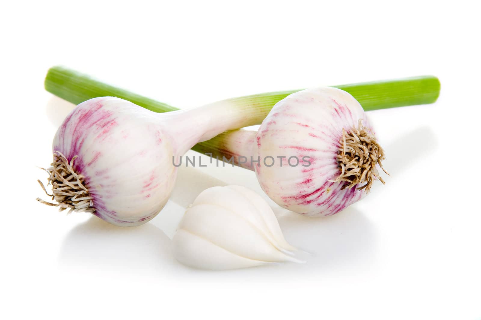 Garlic Vegetable and Cloves Isolated on White Background 