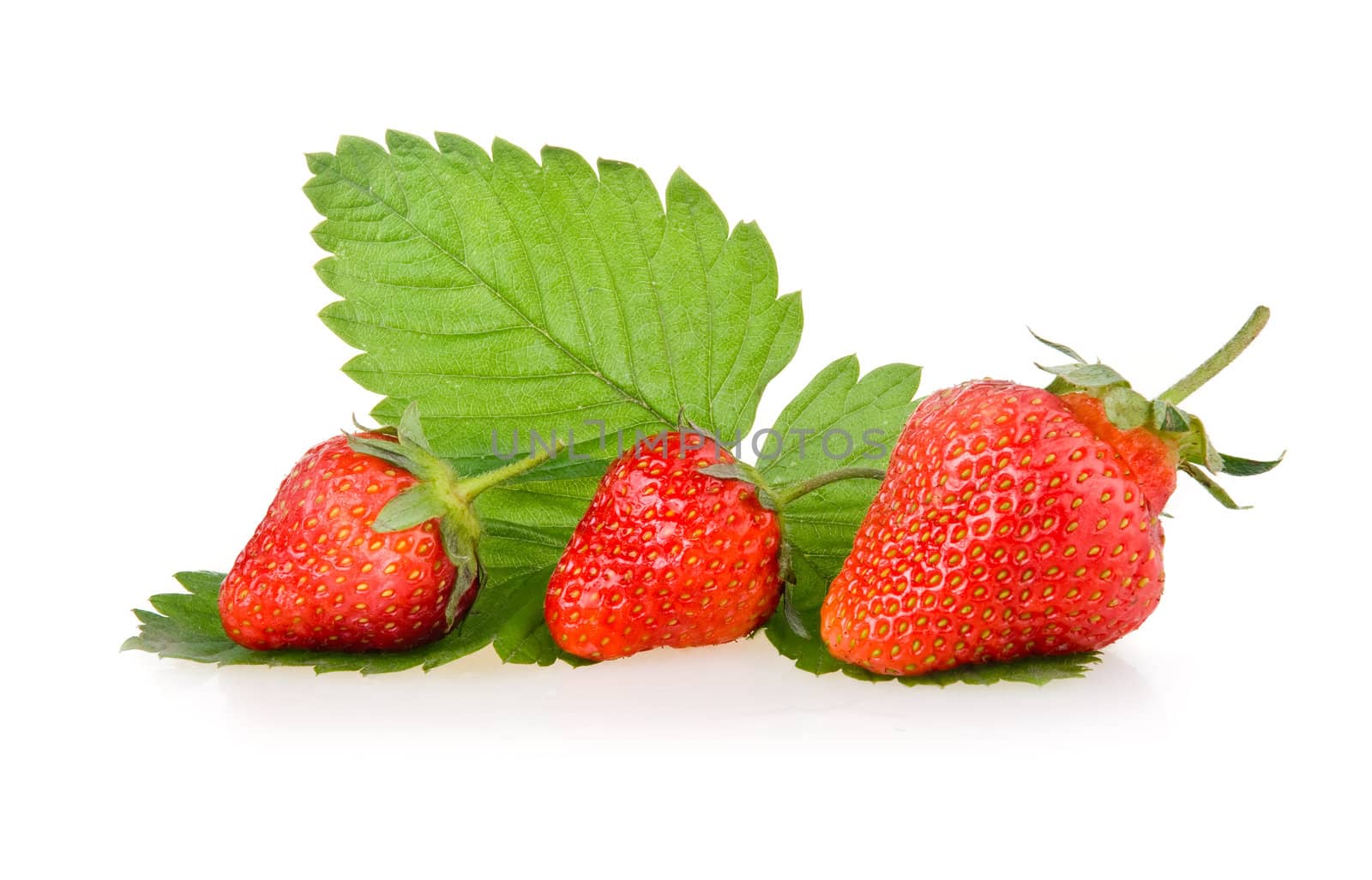 Red strawberry fruits with green leaves isolated on white background 