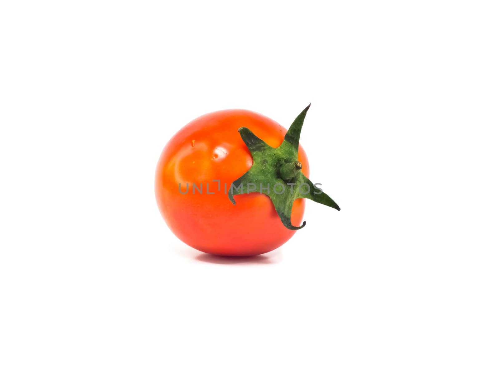 This is a tomato sde view on white background