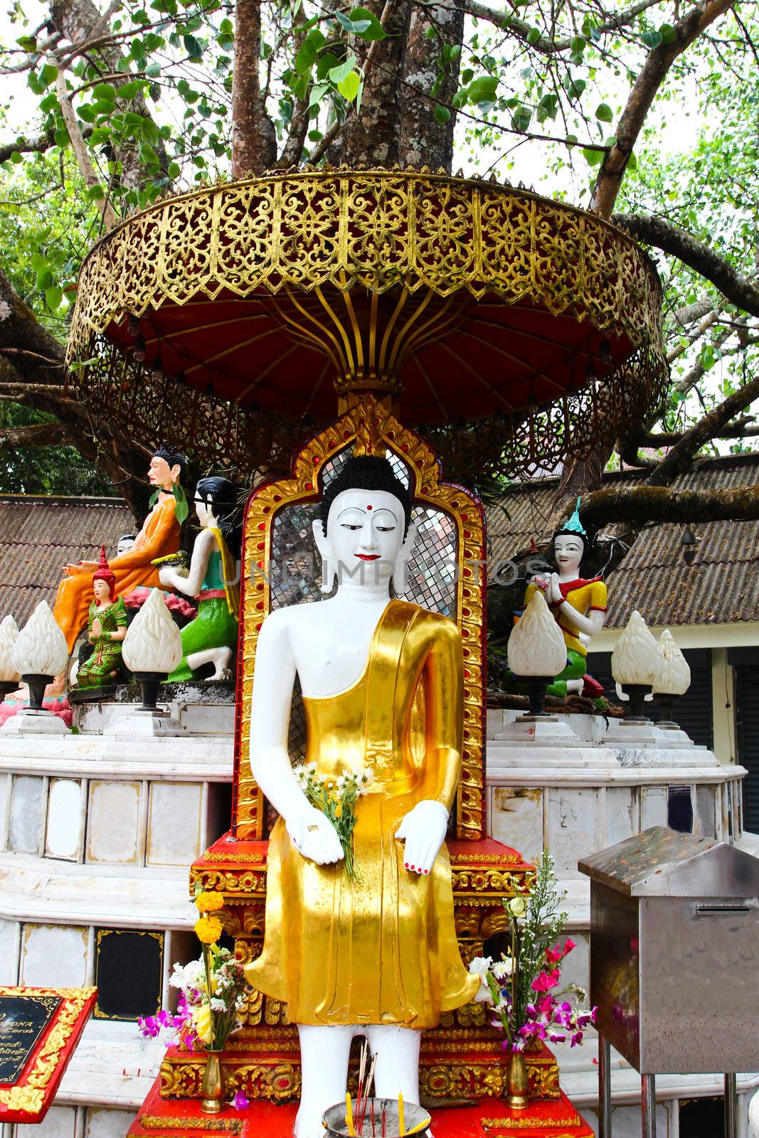 buddha statue in Wat Phrathat Doi Suthep in Chiang Mai, Thailand by bajita111122