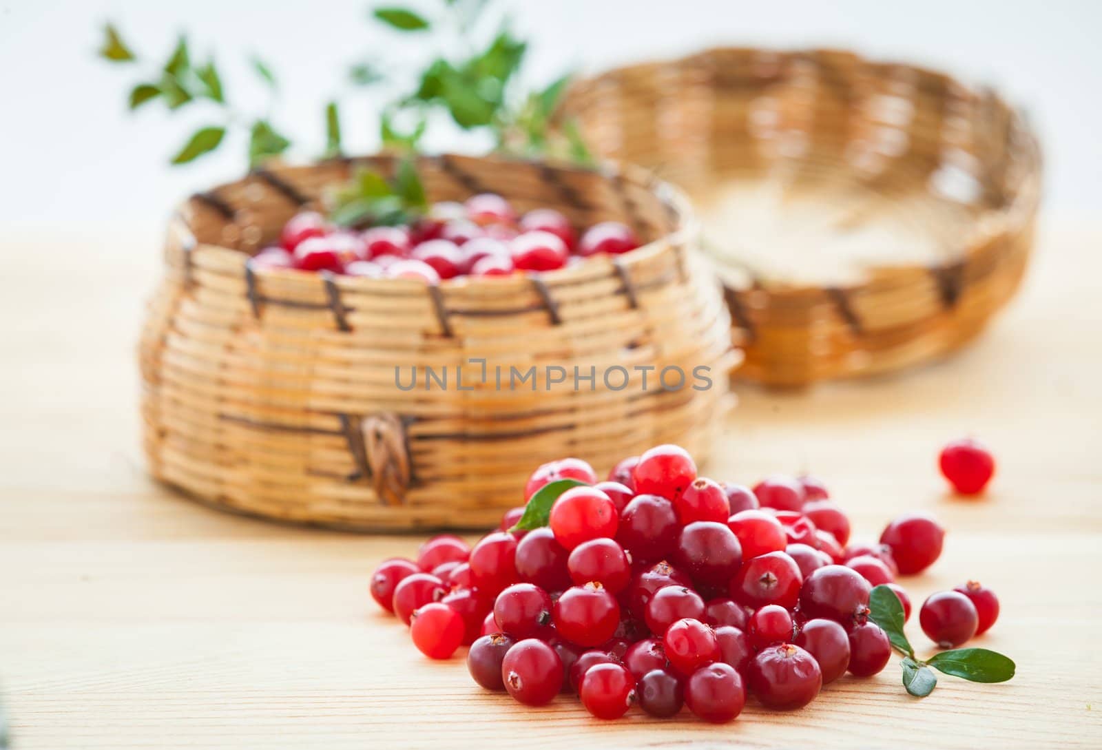 Fresh red cranberries with leaves in basket