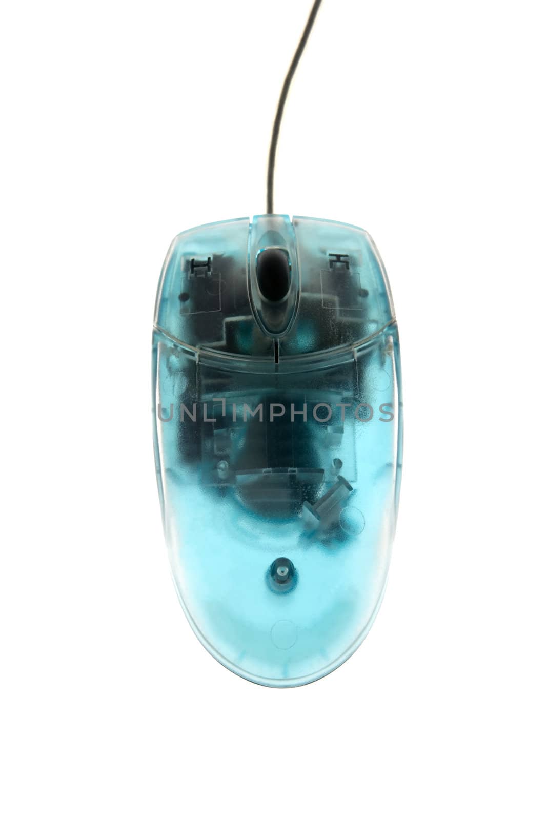 Blue Computer Mouse on white background