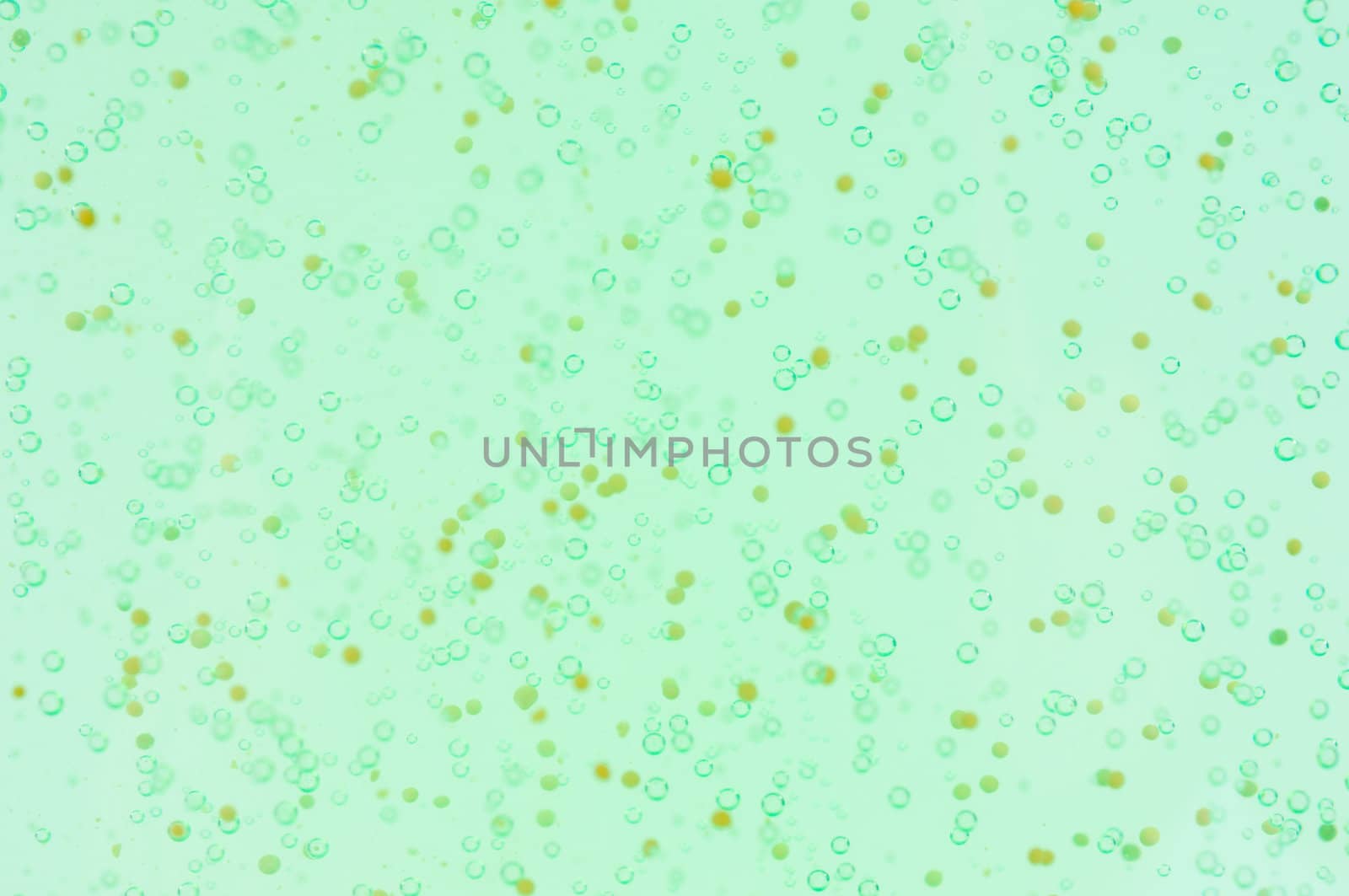 Sparkling  bubbles on green  background