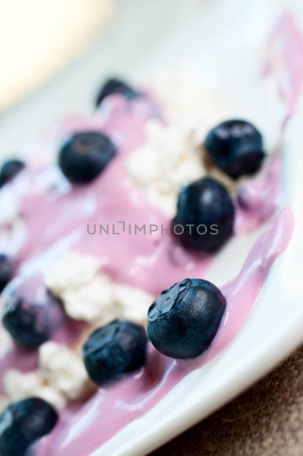 Ripe blueberries in yogurt and cottage cheese close up