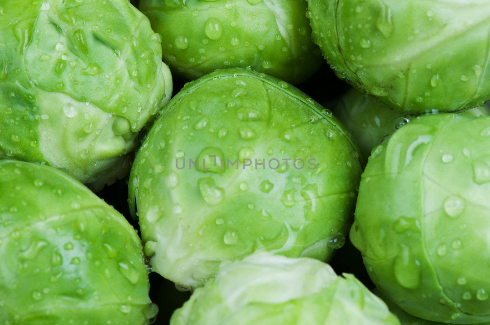 Brussels sprouts background by Nanisimova