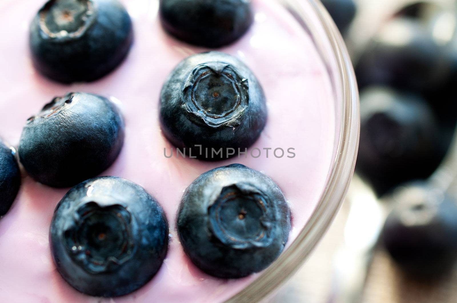 Blueberry yogurt with blueberries in glass close up