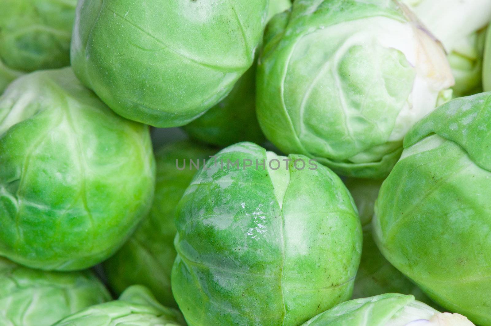 Brussels sprouts background close up by Nanisimova