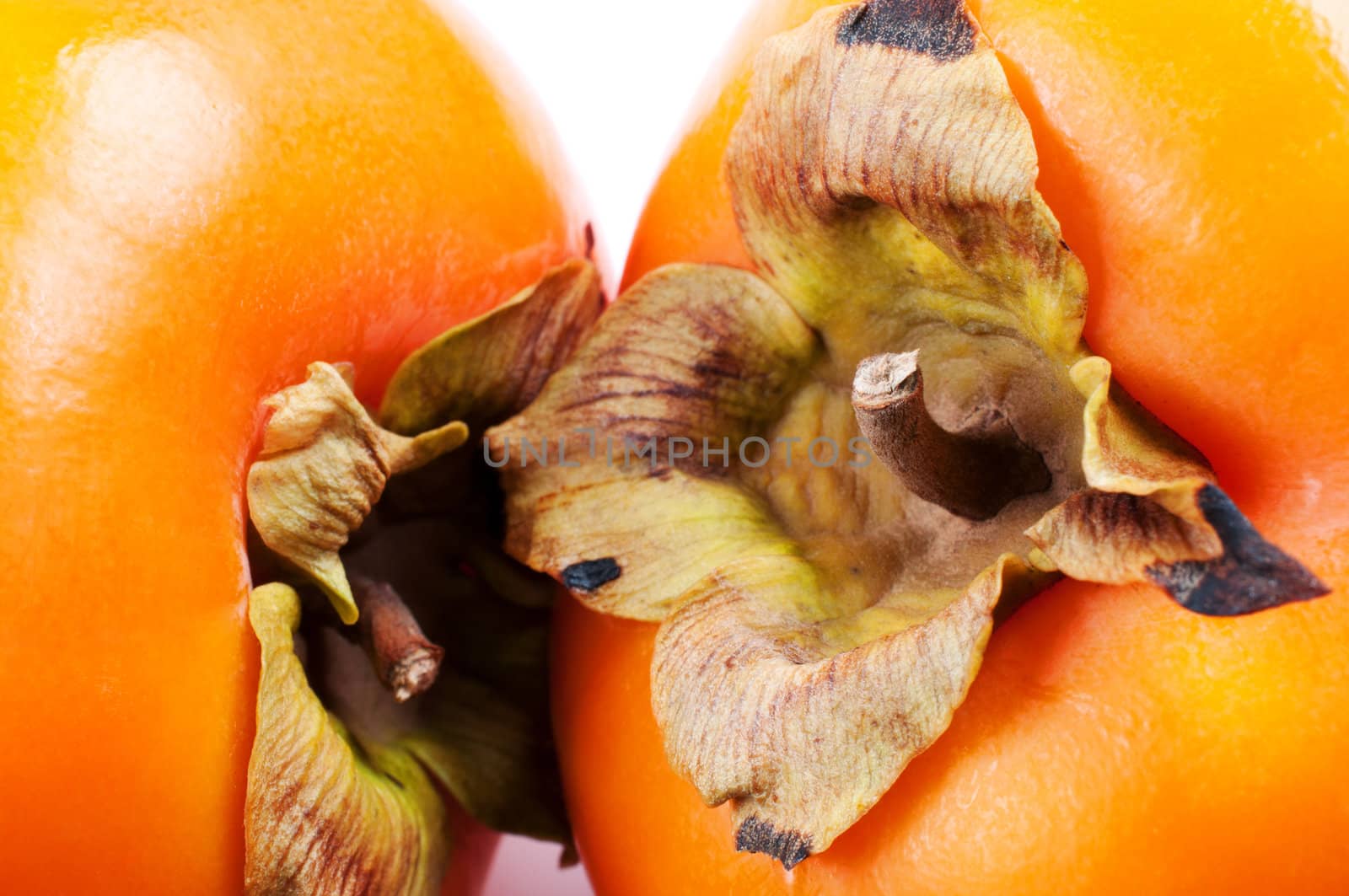 Persimmons on white background by Nanisimova