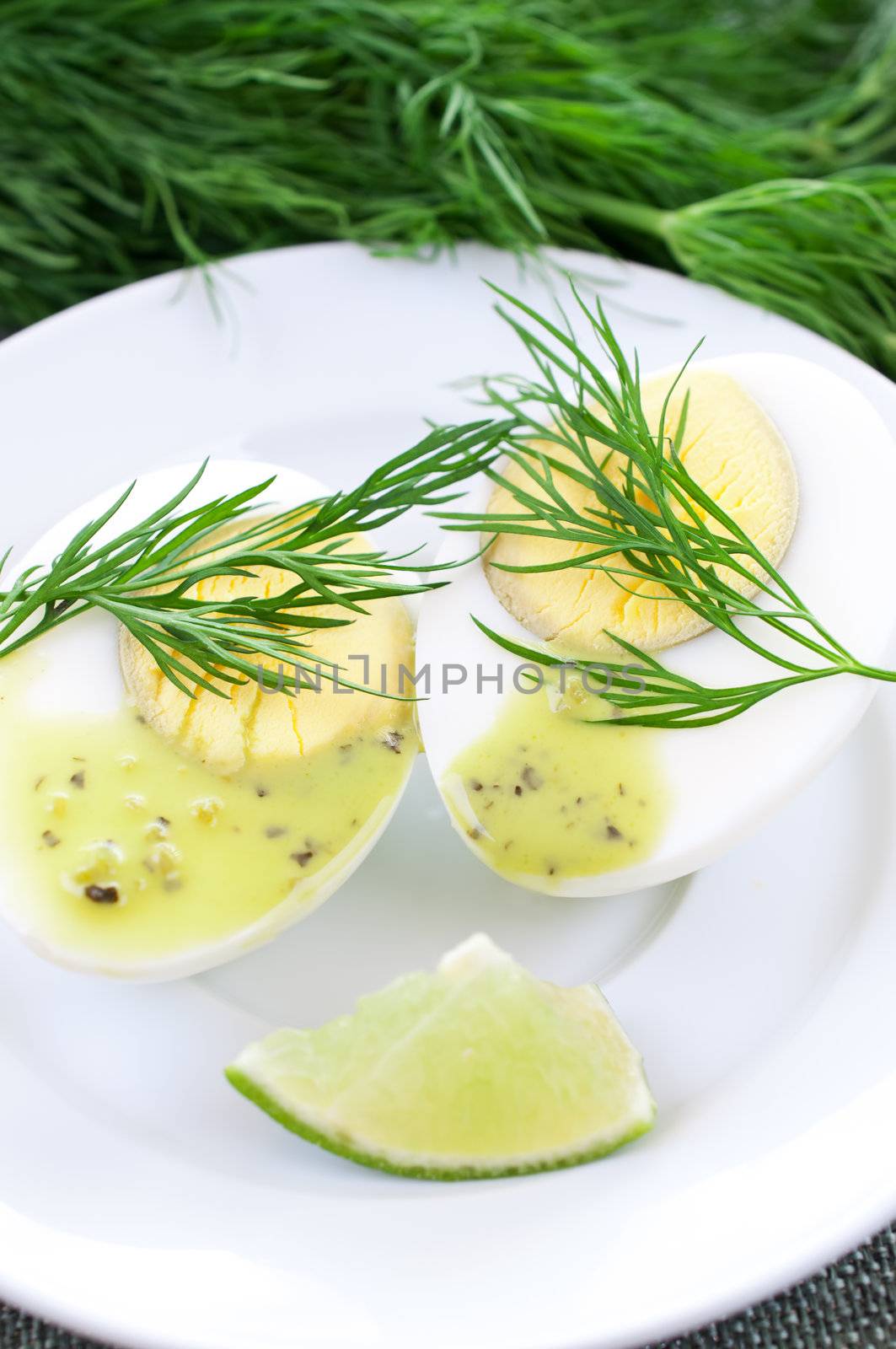Chicken egg cut in half on dill background by Nanisimova