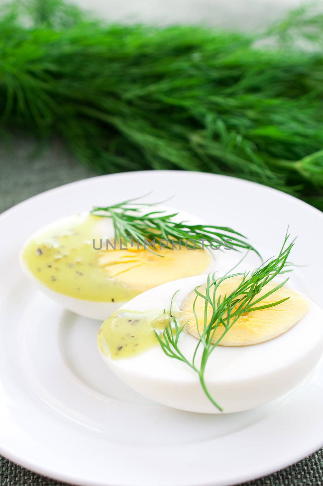 Egg cut in half on dill background by Nanisimova