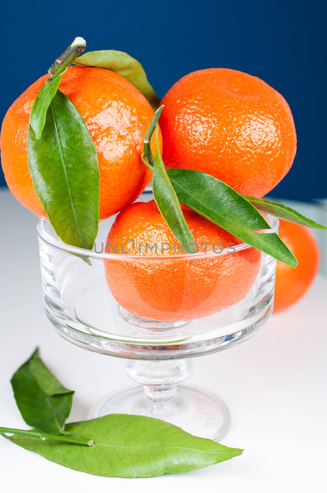 Tangerines in a glass vase on blue background