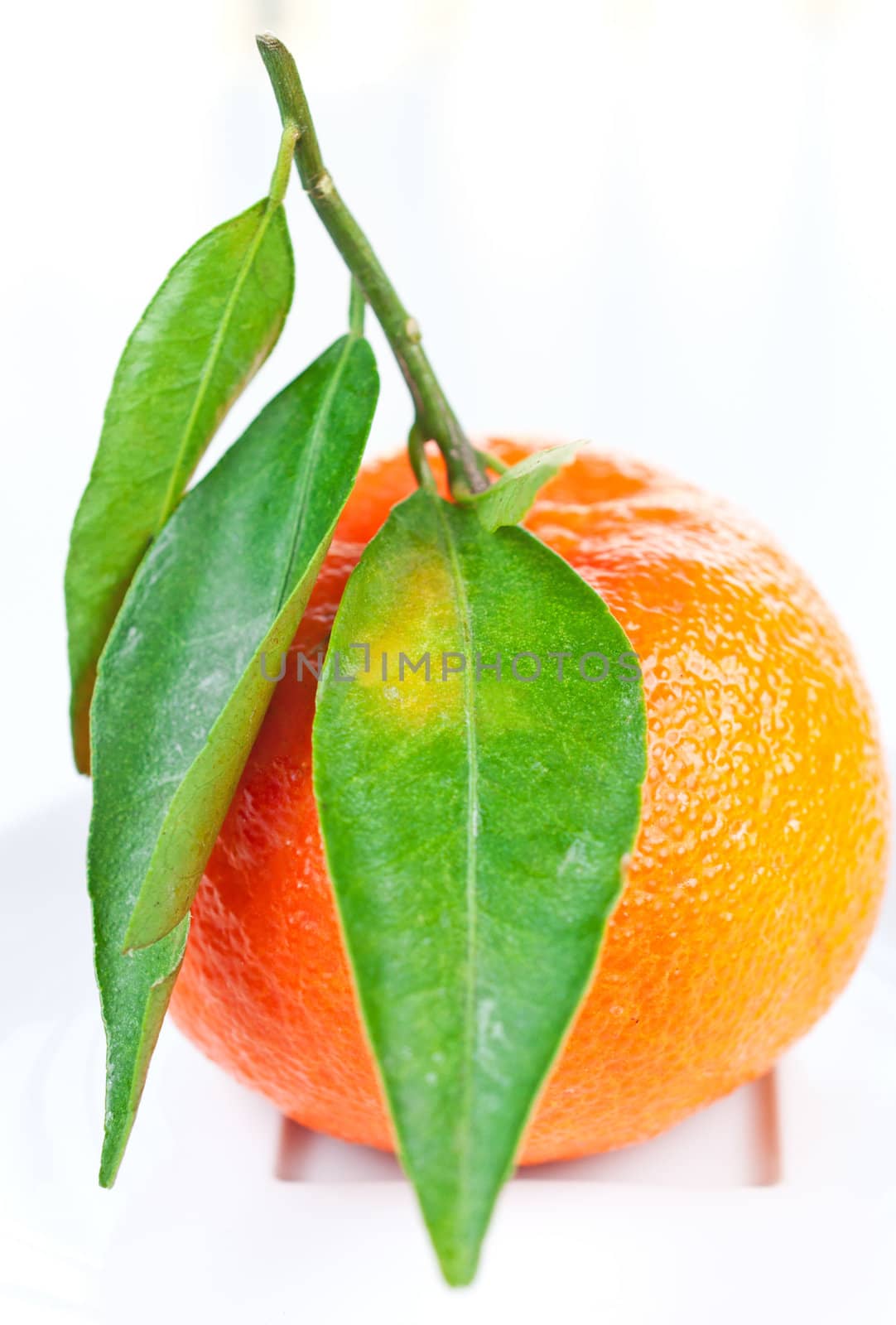 Tangerine with green leaves on a plate by Nanisimova