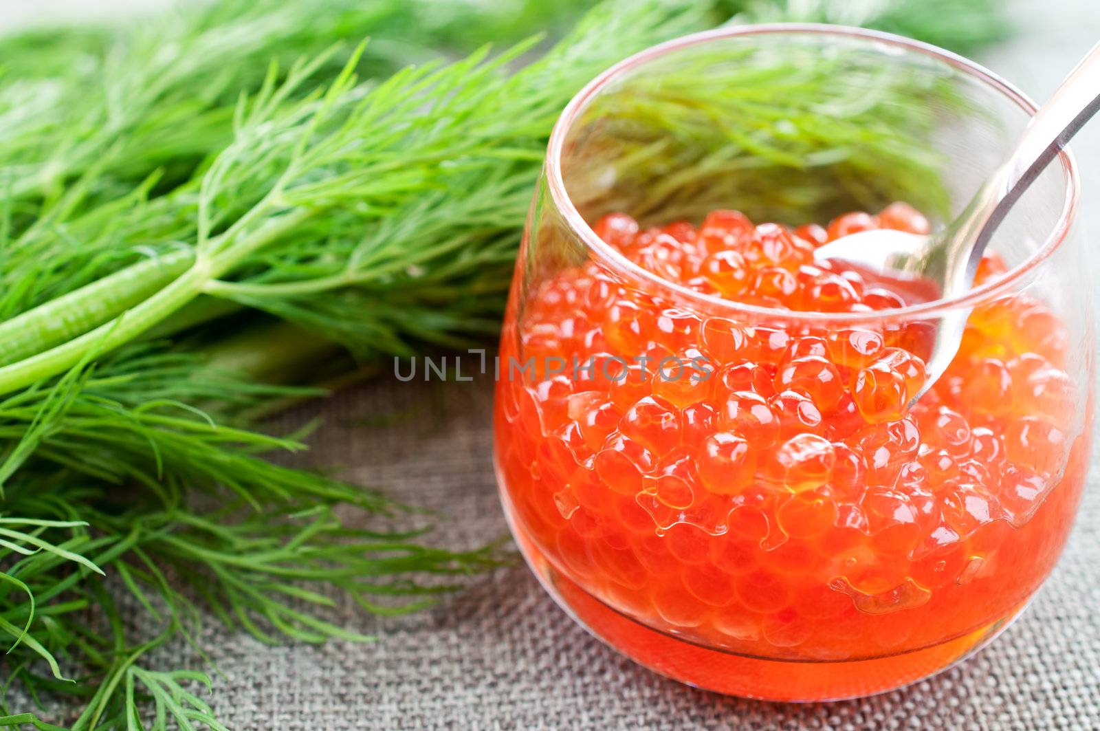 Salmon caviar in glasses on dill background