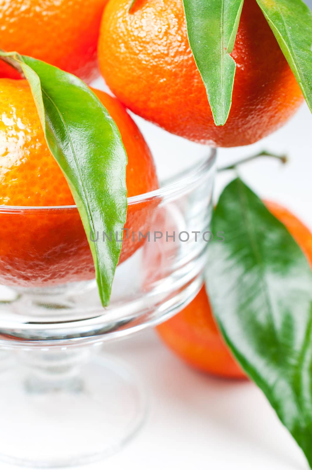 Tangerines with green leaves in vase close up by Nanisimova