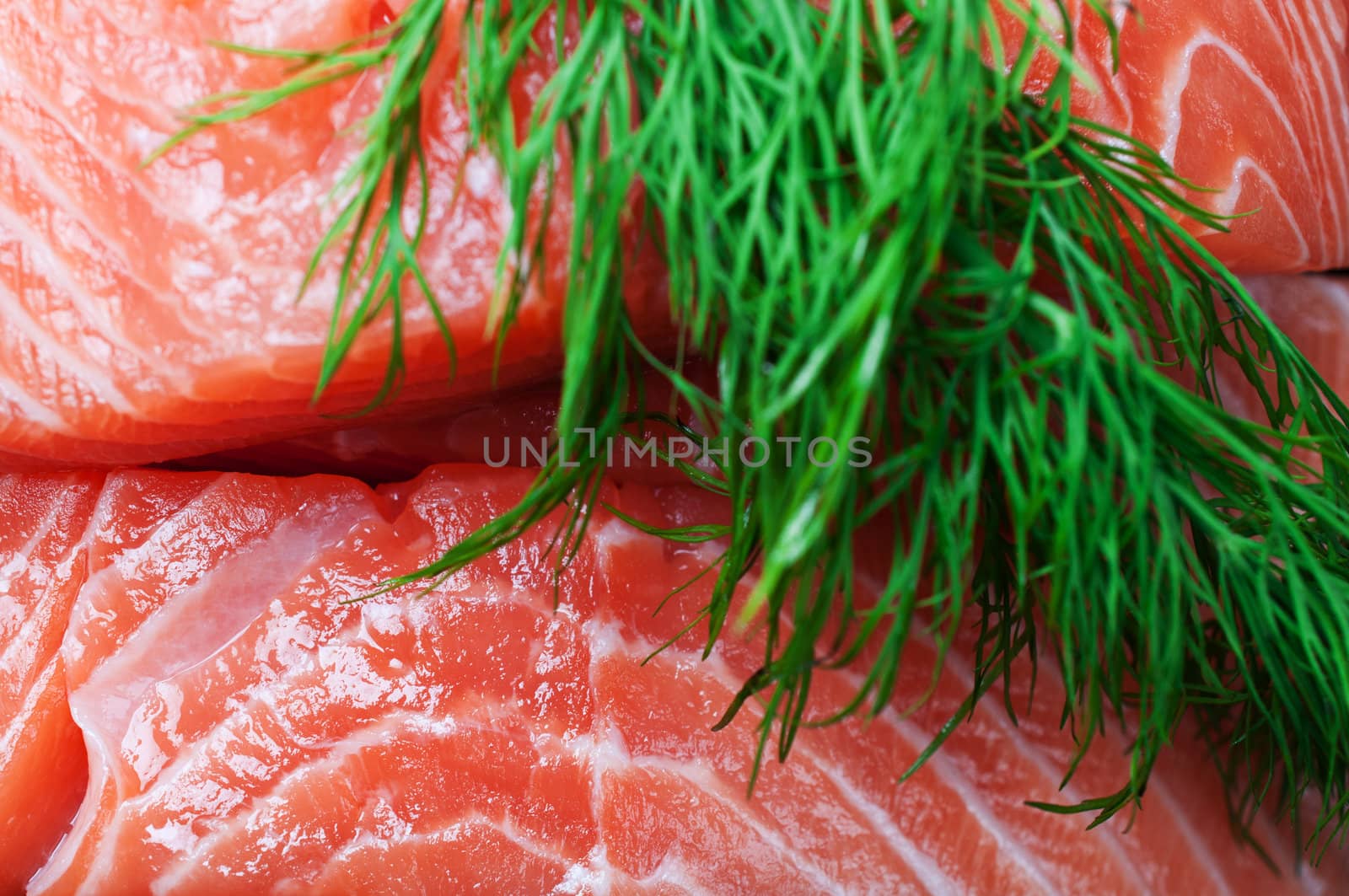 Salmon and dill background close up
