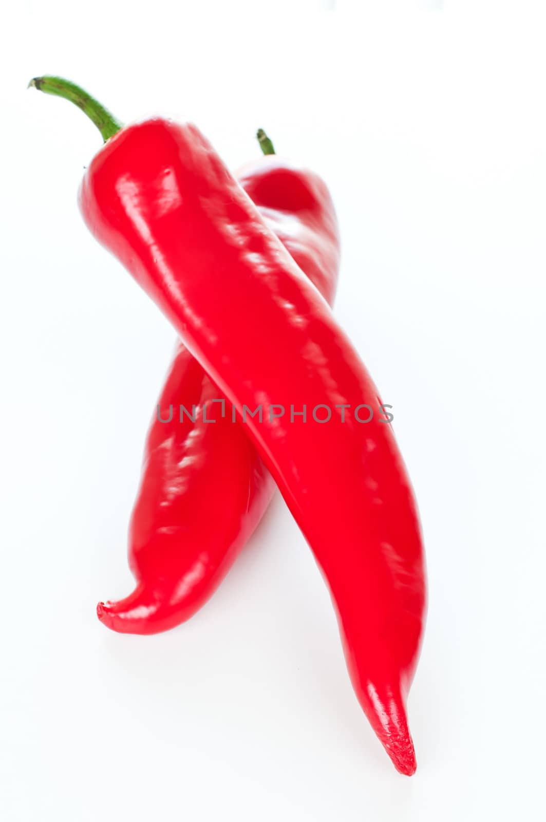 Paprika peppers on white background by Nanisimova