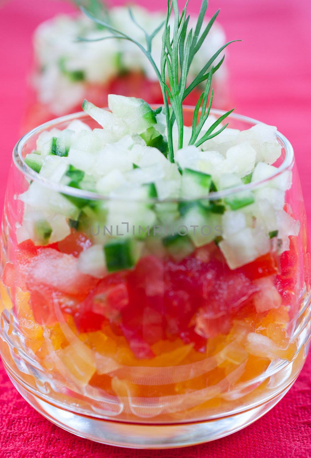 Vegetable salad in a glass  by Nanisimova