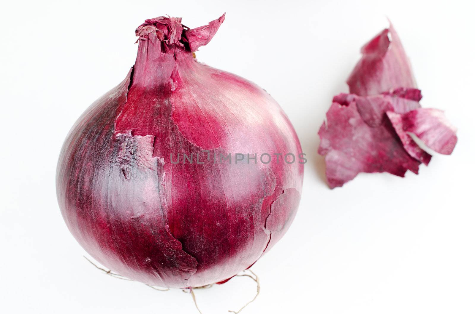 Vidalia onion by Nanisimova
