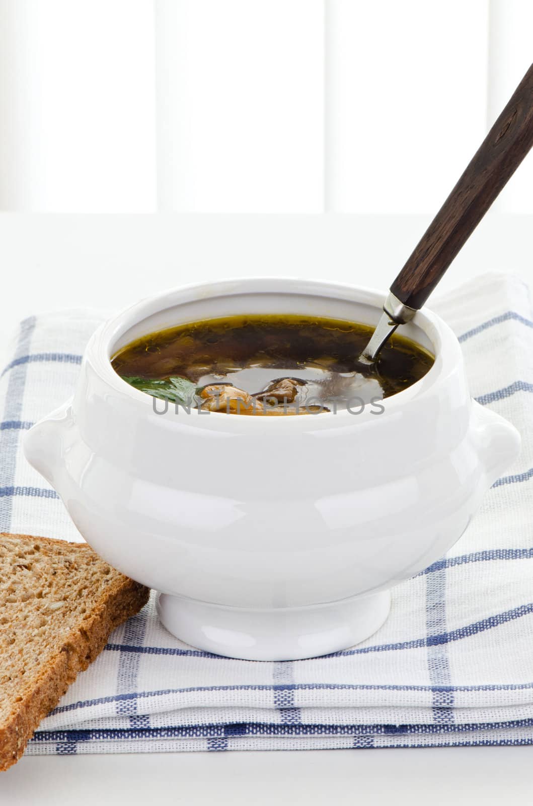 Bowl of mushroom soup with spoon by Nanisimova