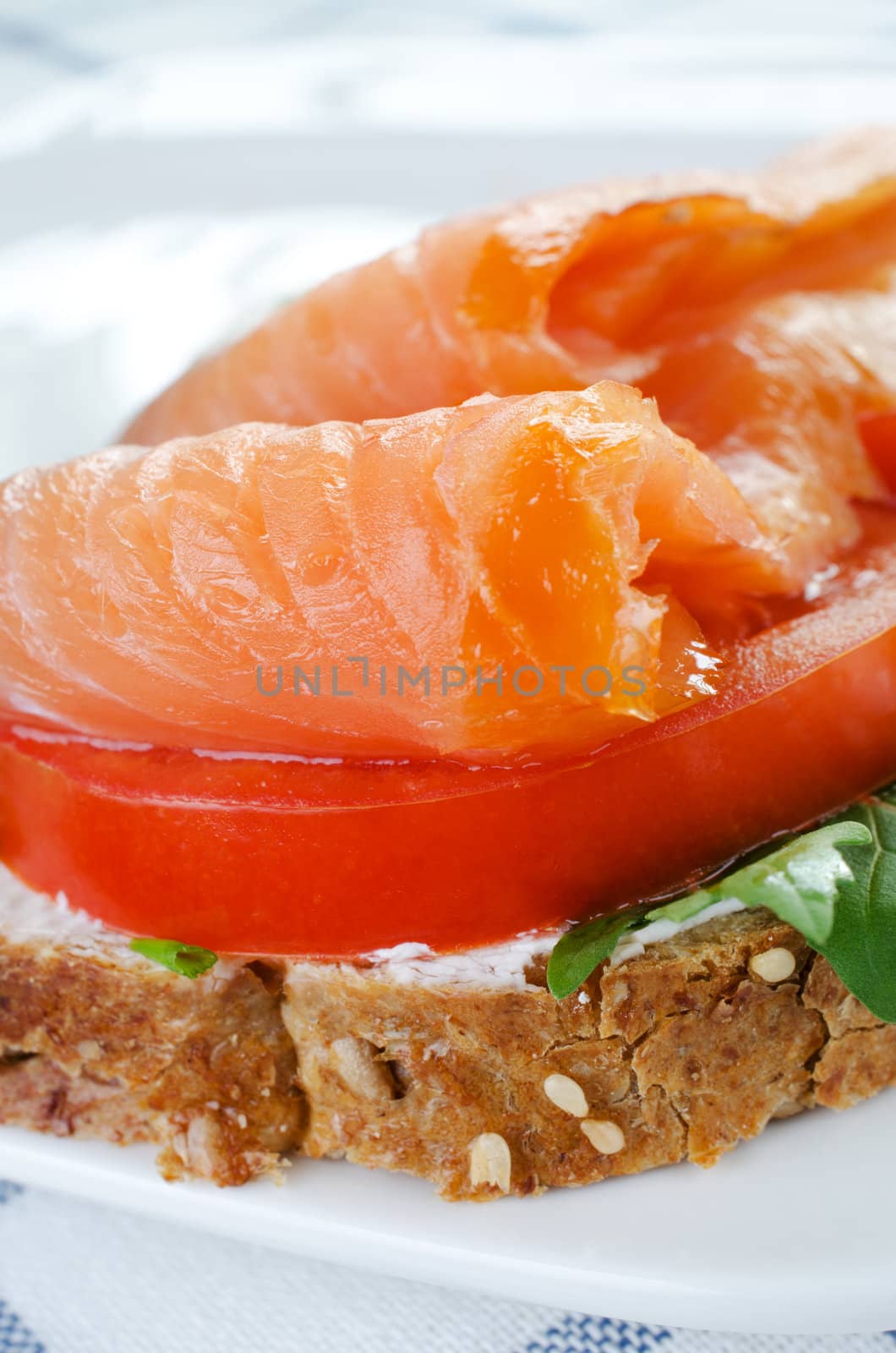 Close up salmon sadwich by Nanisimova