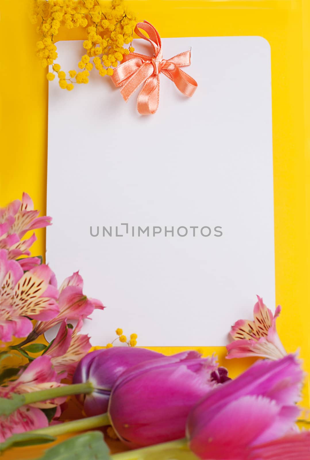 Decorative card with mimosa and tulips on white