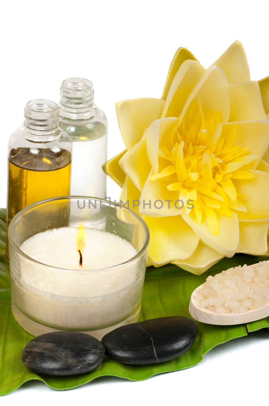 Spa scene with water lily and massage oils