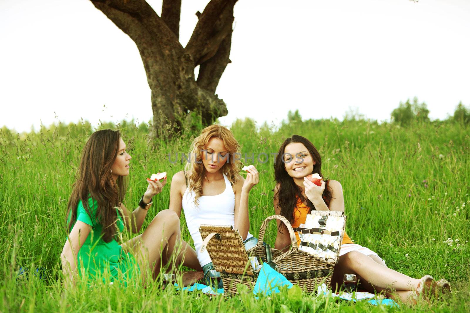 very fun girlfriends on picnic 