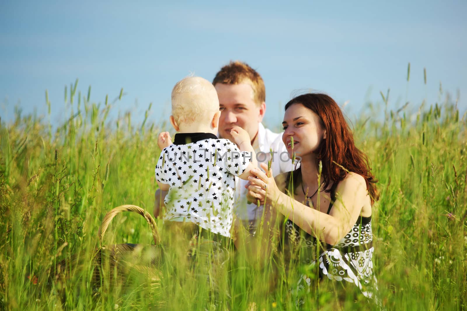  picnic of happy family on green grass