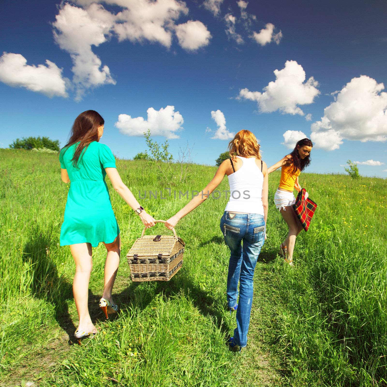 very fun girlfriends on picnic 