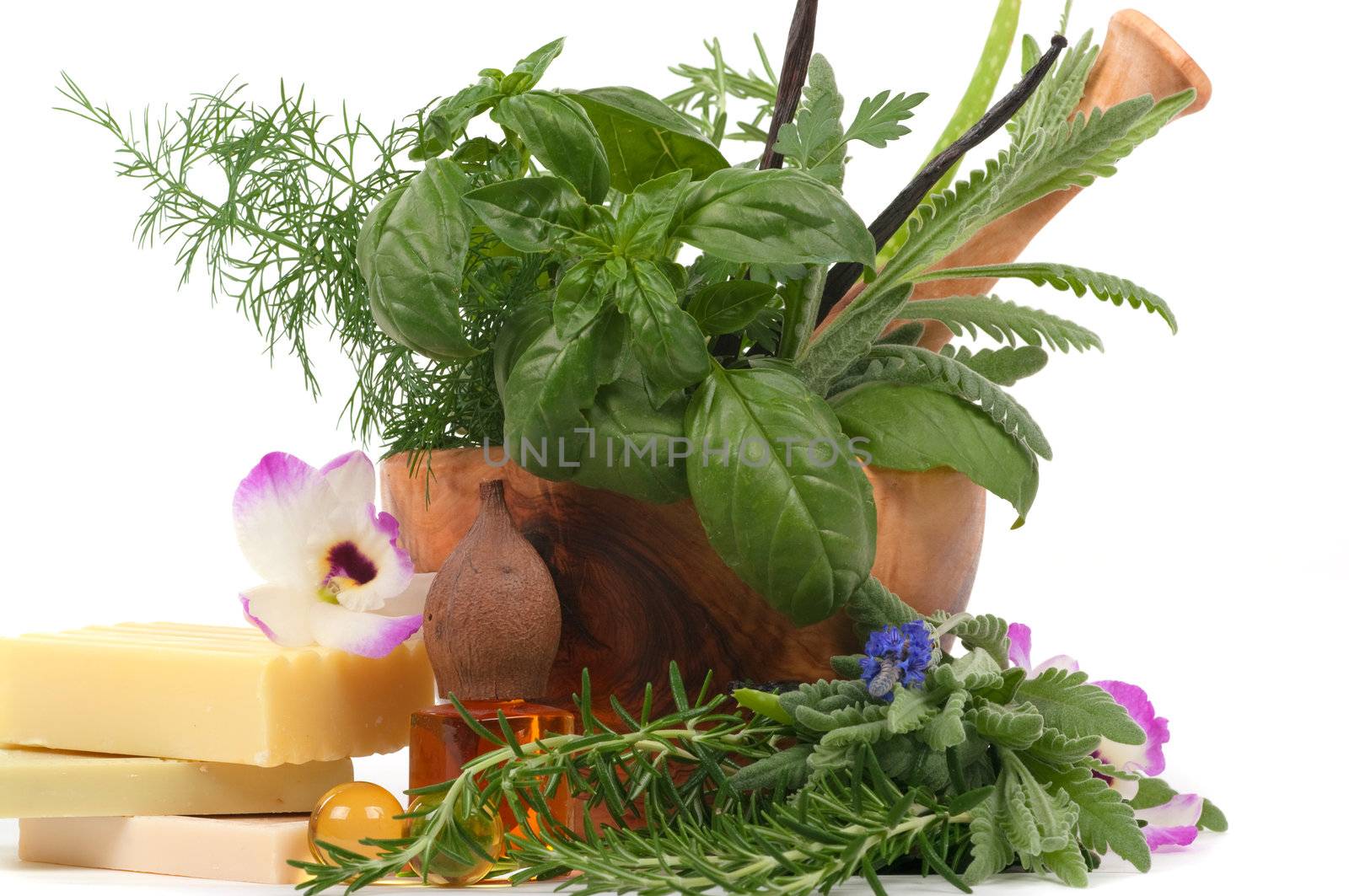 Herbs for alternative therapy and  aromatherapy