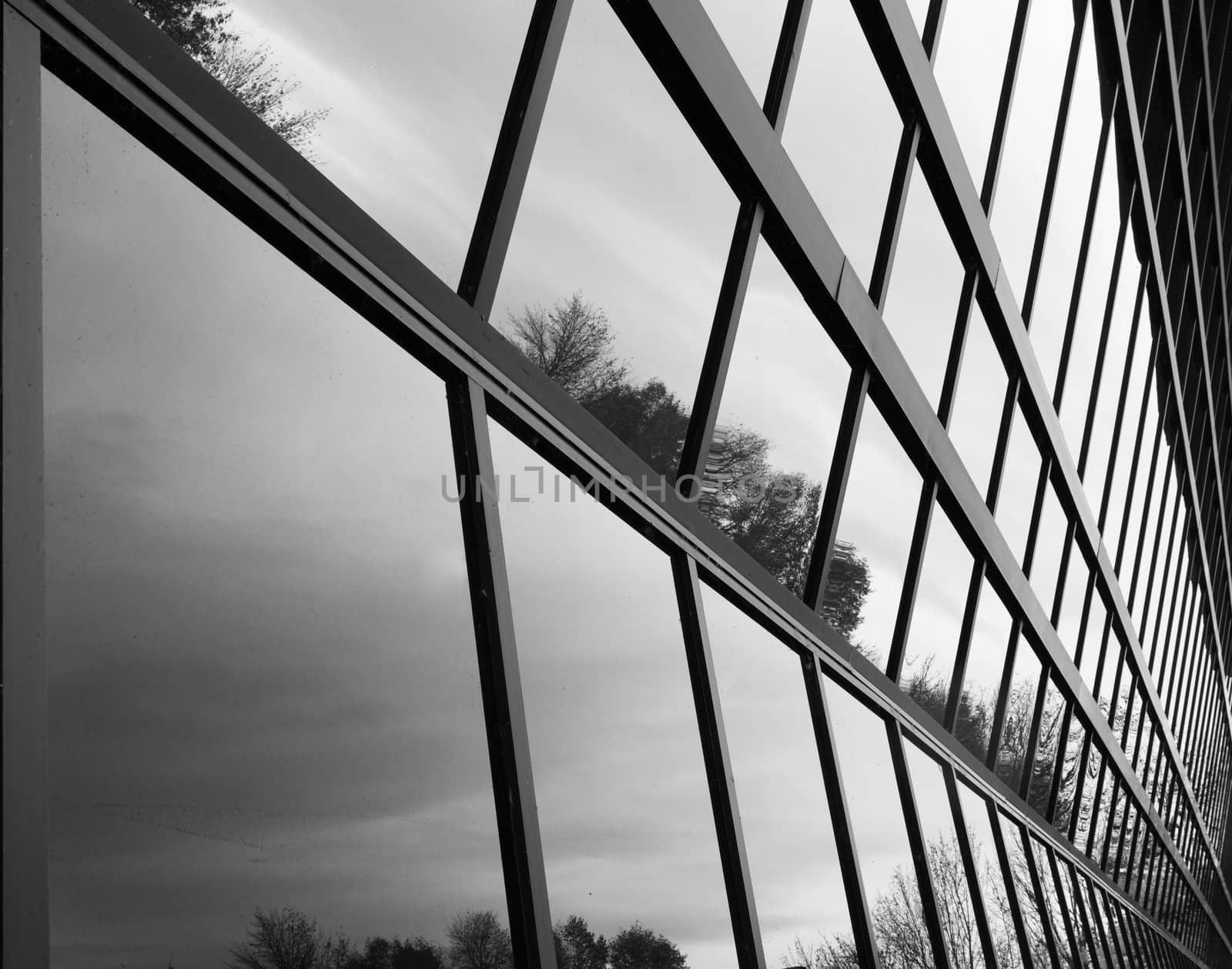 Glass window wall that is angled inward in black and white reflecting some trees