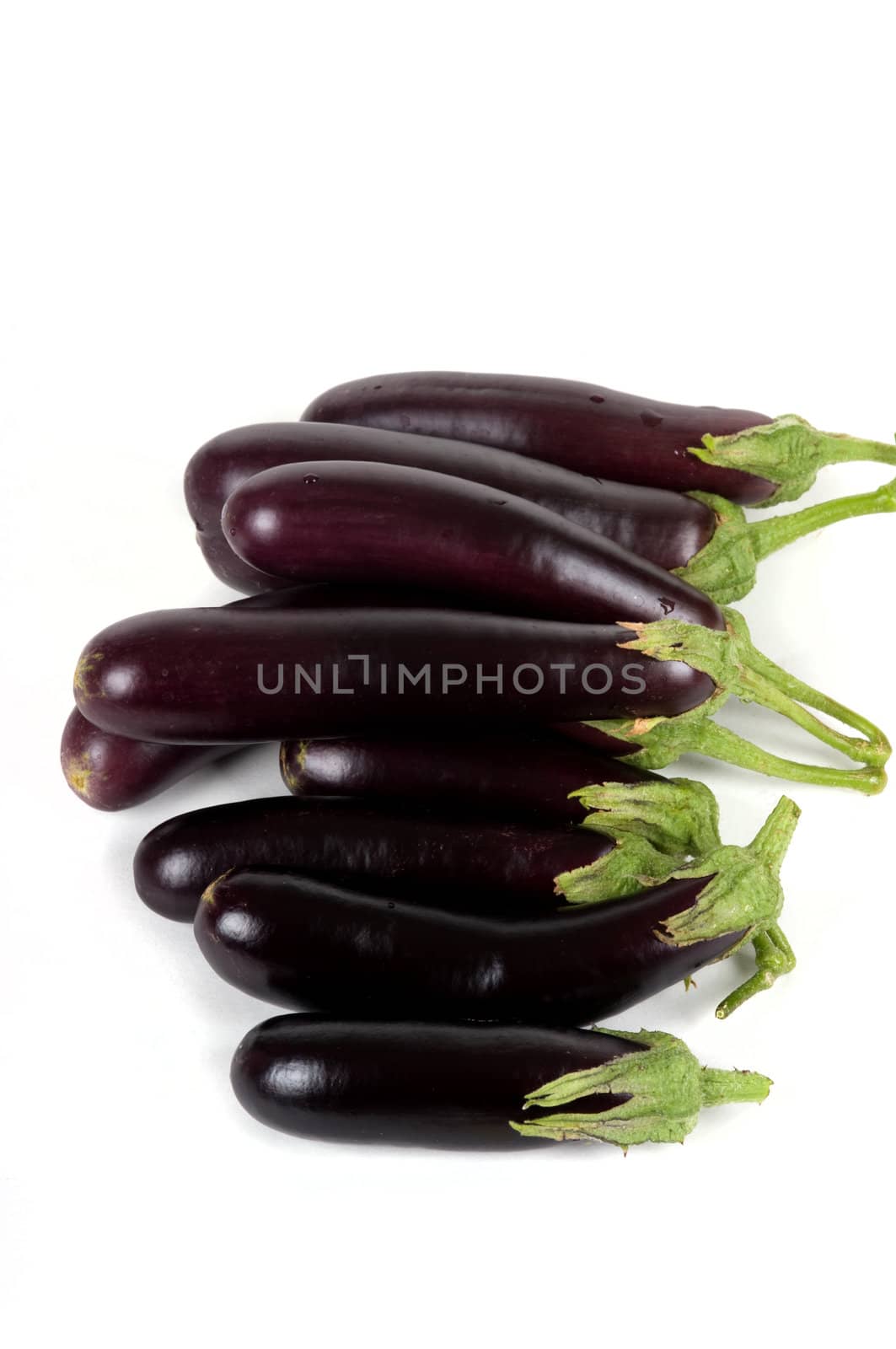 Organic eggplant by BVDC