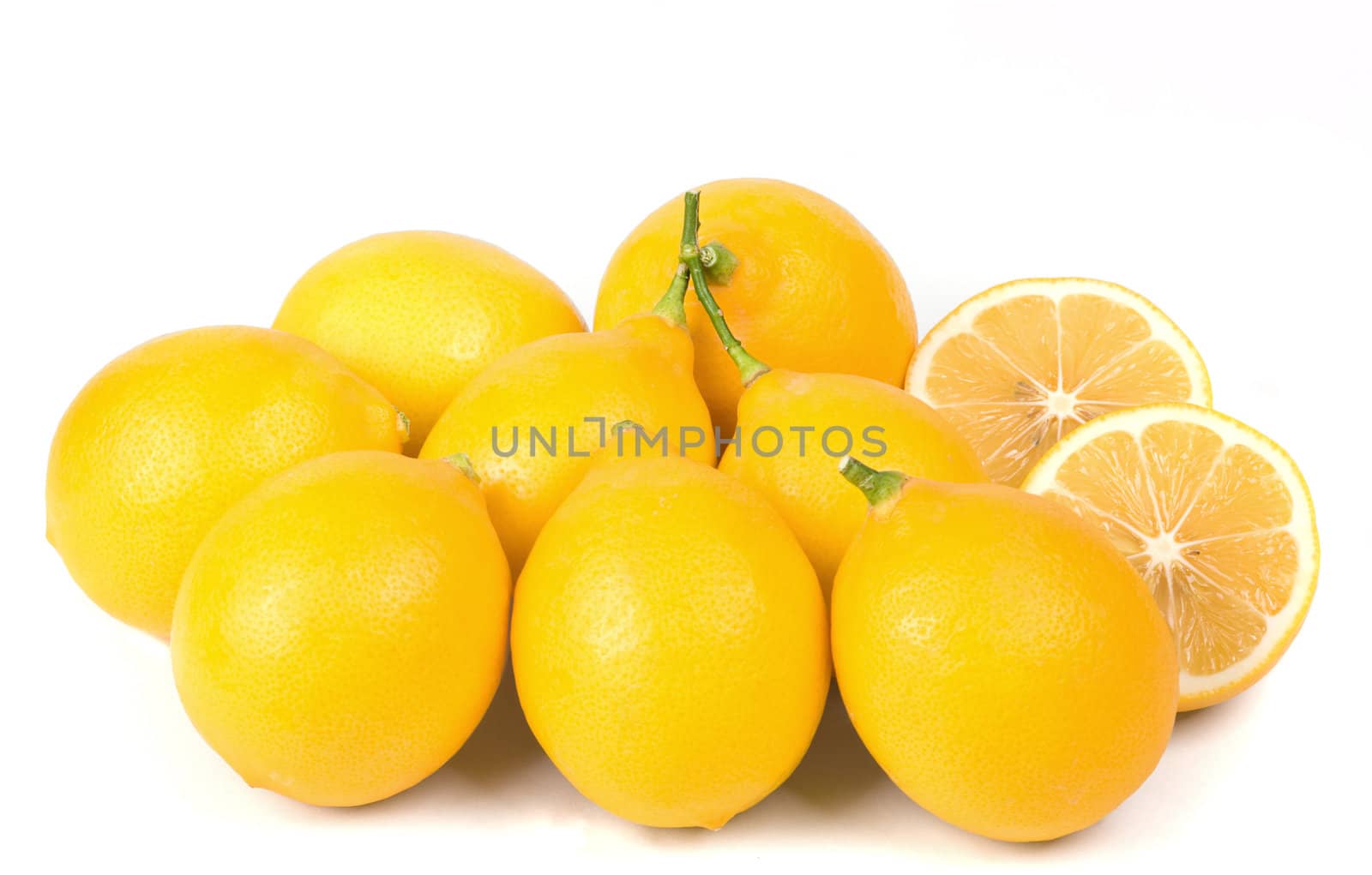 Lemon by BVDC