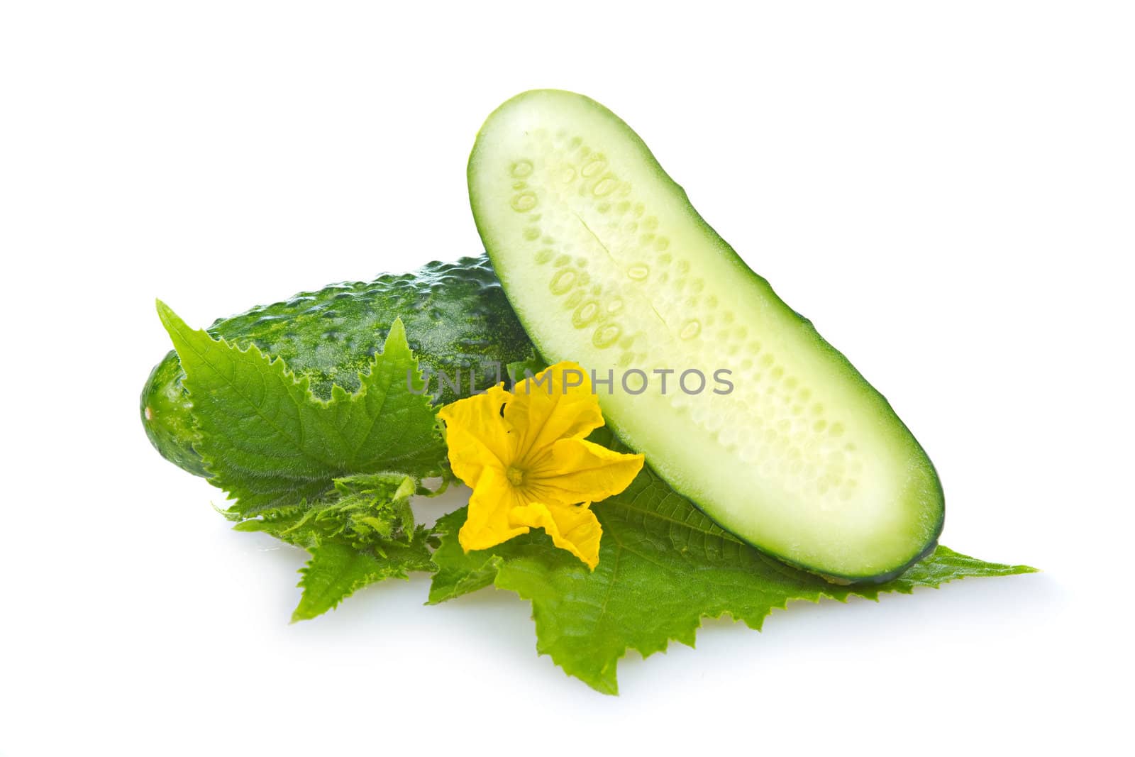 Green cucumber vegetable with leafs and flowers isolated