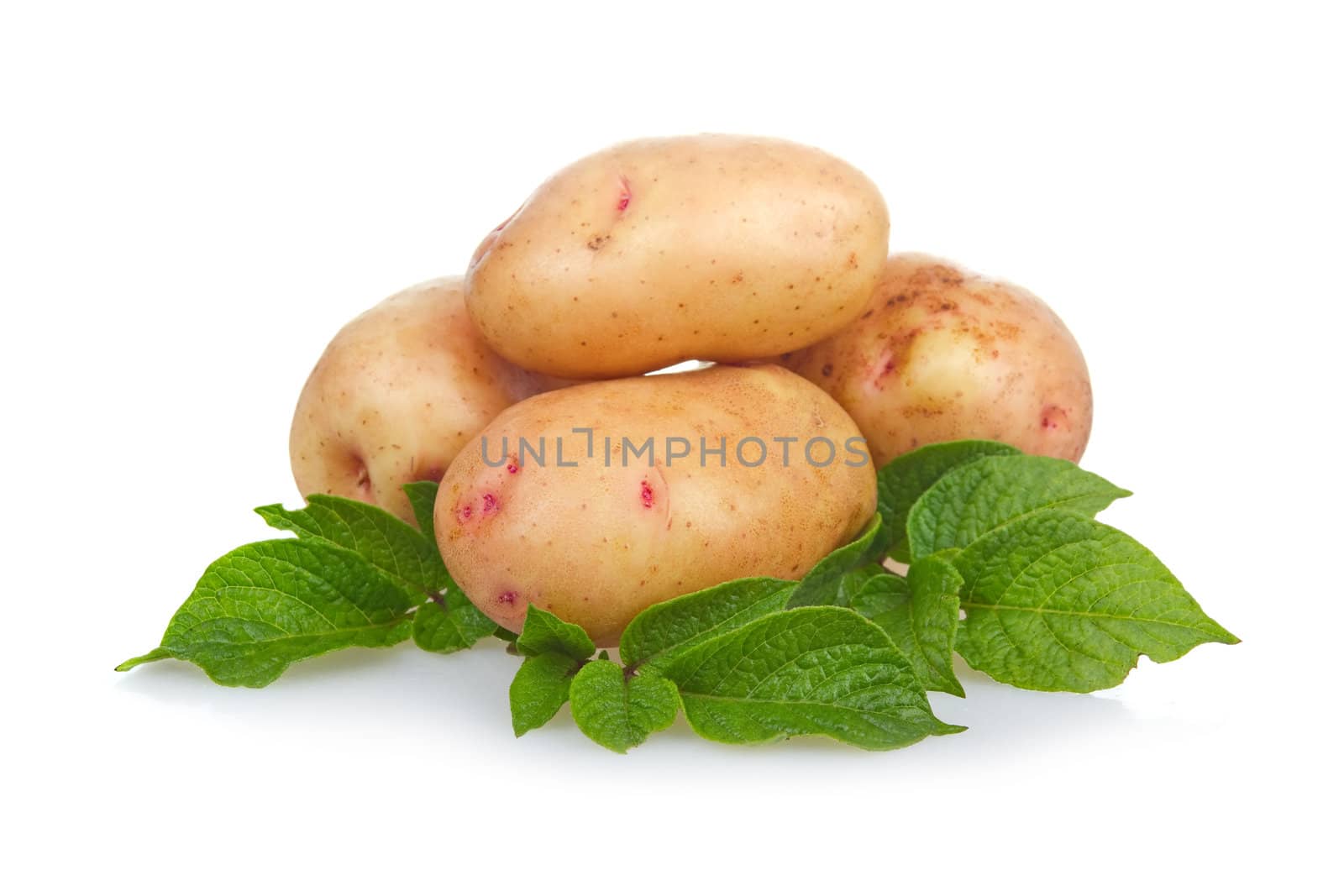 Heap of ripe potatoes vegetable with green leafs isolated on white background