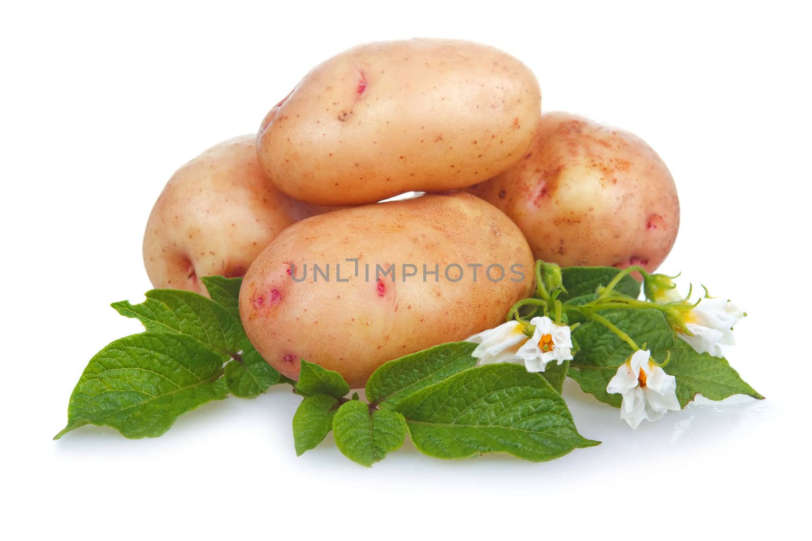 Heap of ripe potatoes vegetable with green leafs isolated on white background