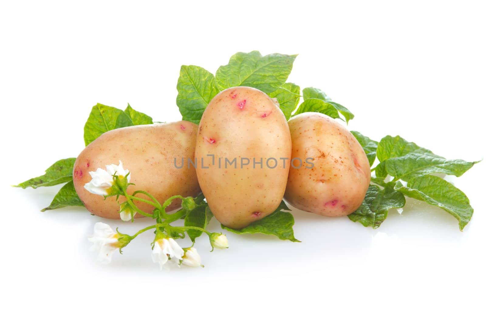 Heap of ripe potatoes vegetable with green leafs isolated on white background