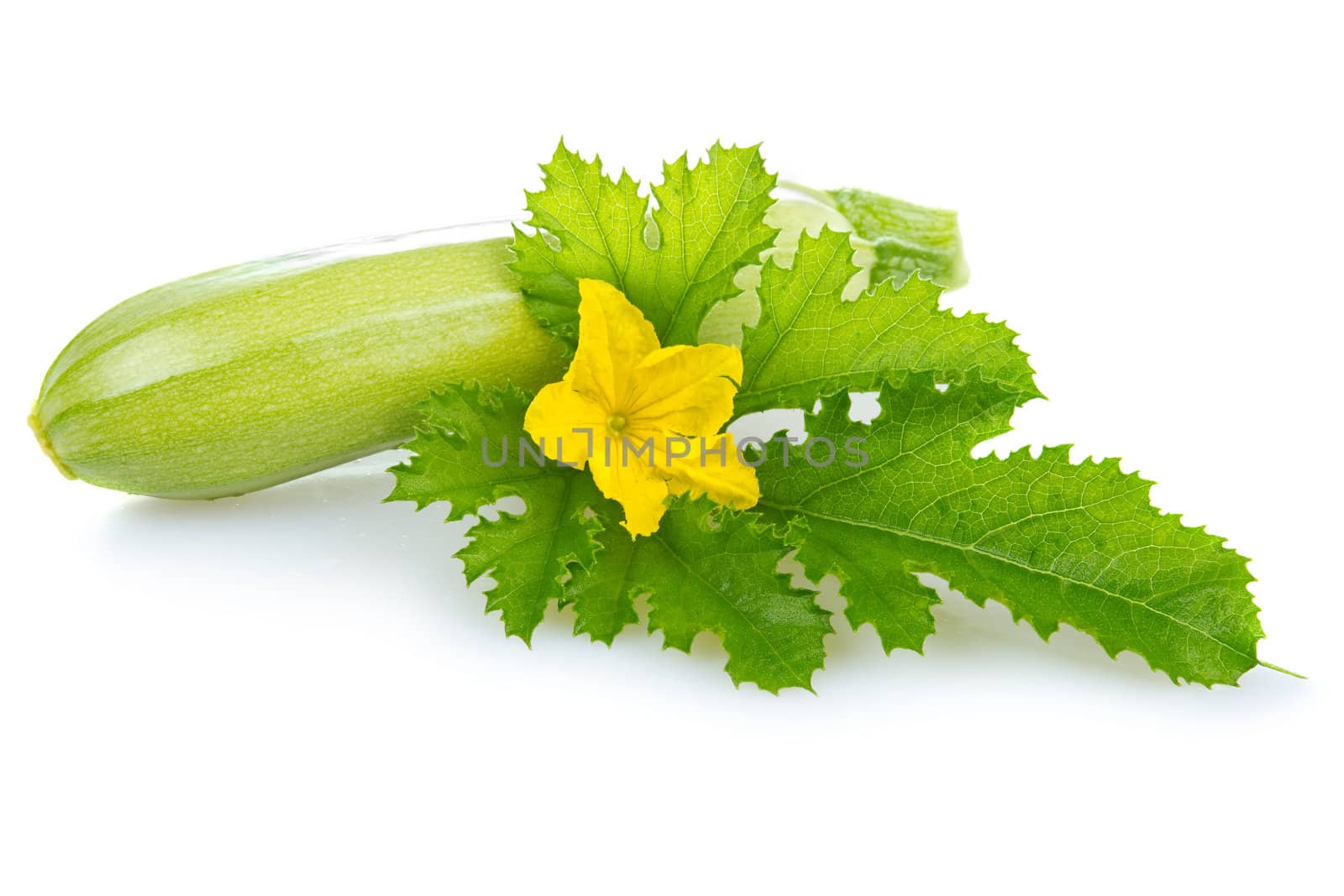 ripe marrow vegetable with leaf isolated by alphacell