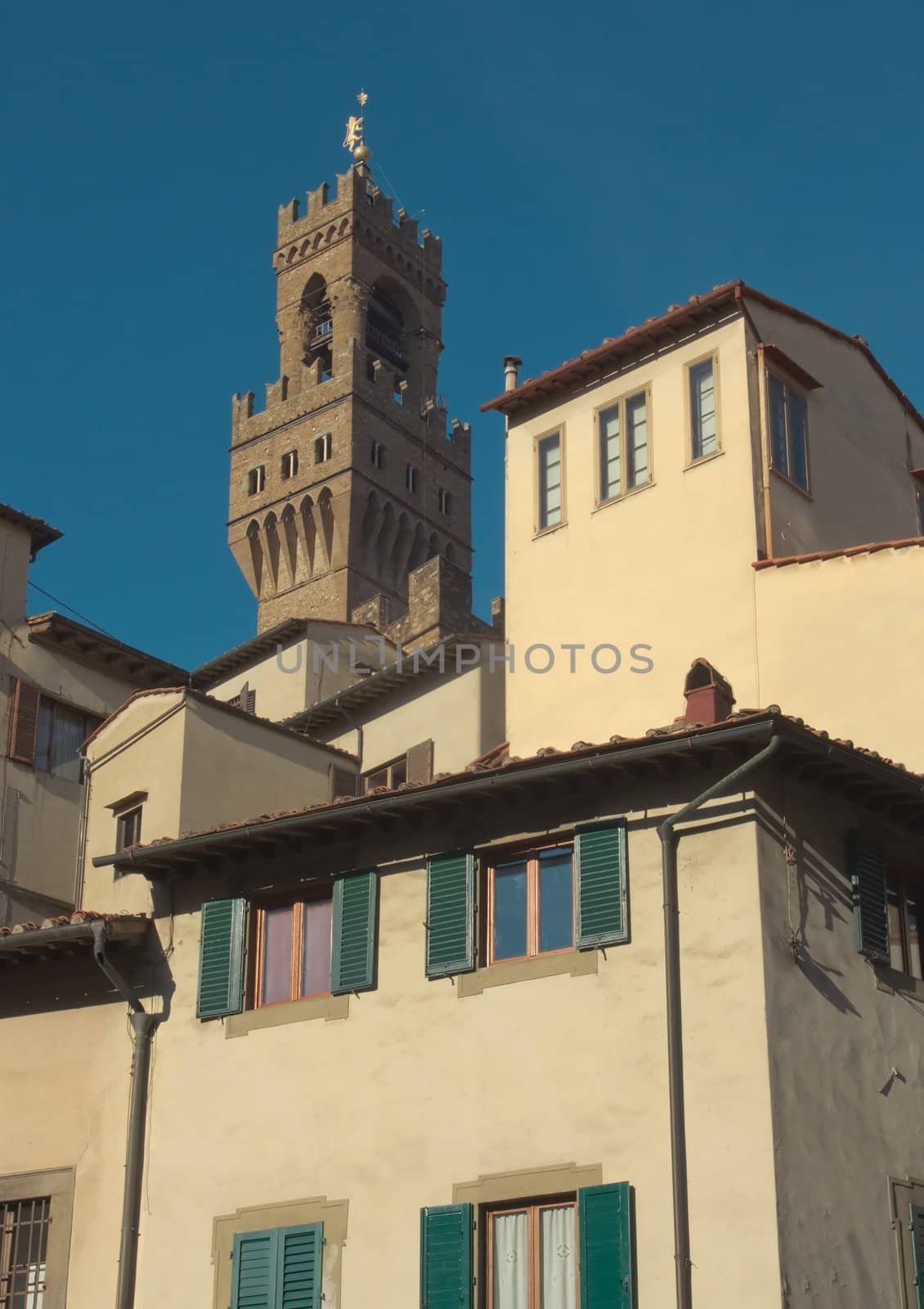 View of Florence with the Uffizi Palace Tower