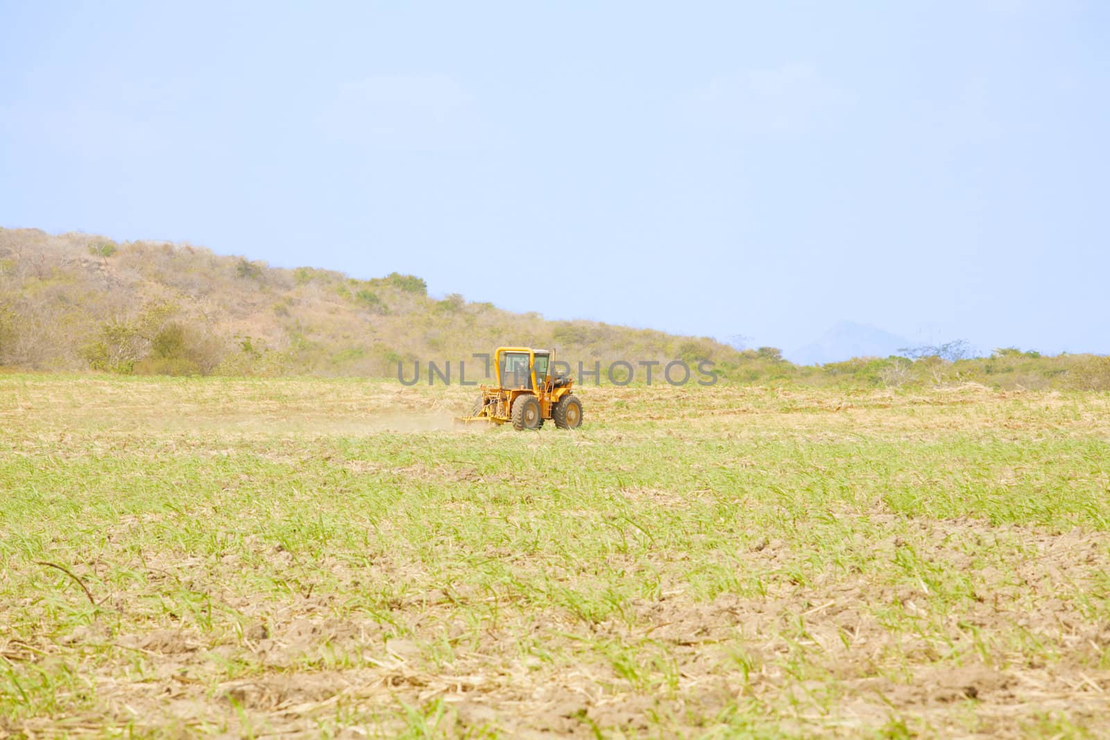 Tractor plows a field preparing for the rice grow up in Panama