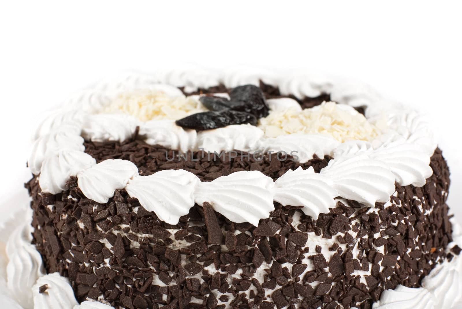 chocolate cake with raisins closeup