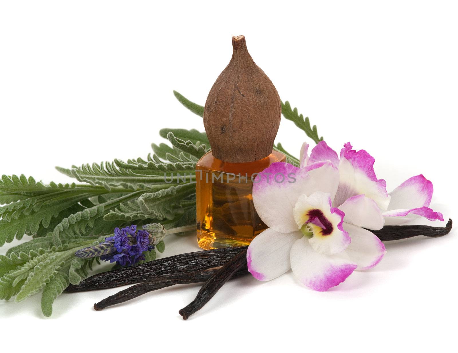 Madagascar vanilla pods, exotic orchids , massage oil and lavender