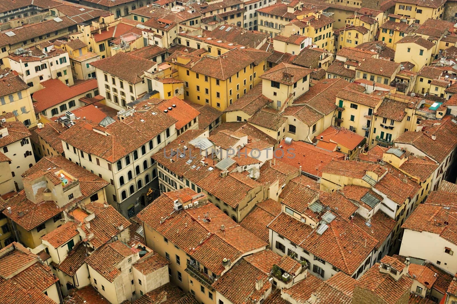 Top view on the roofs of Florence