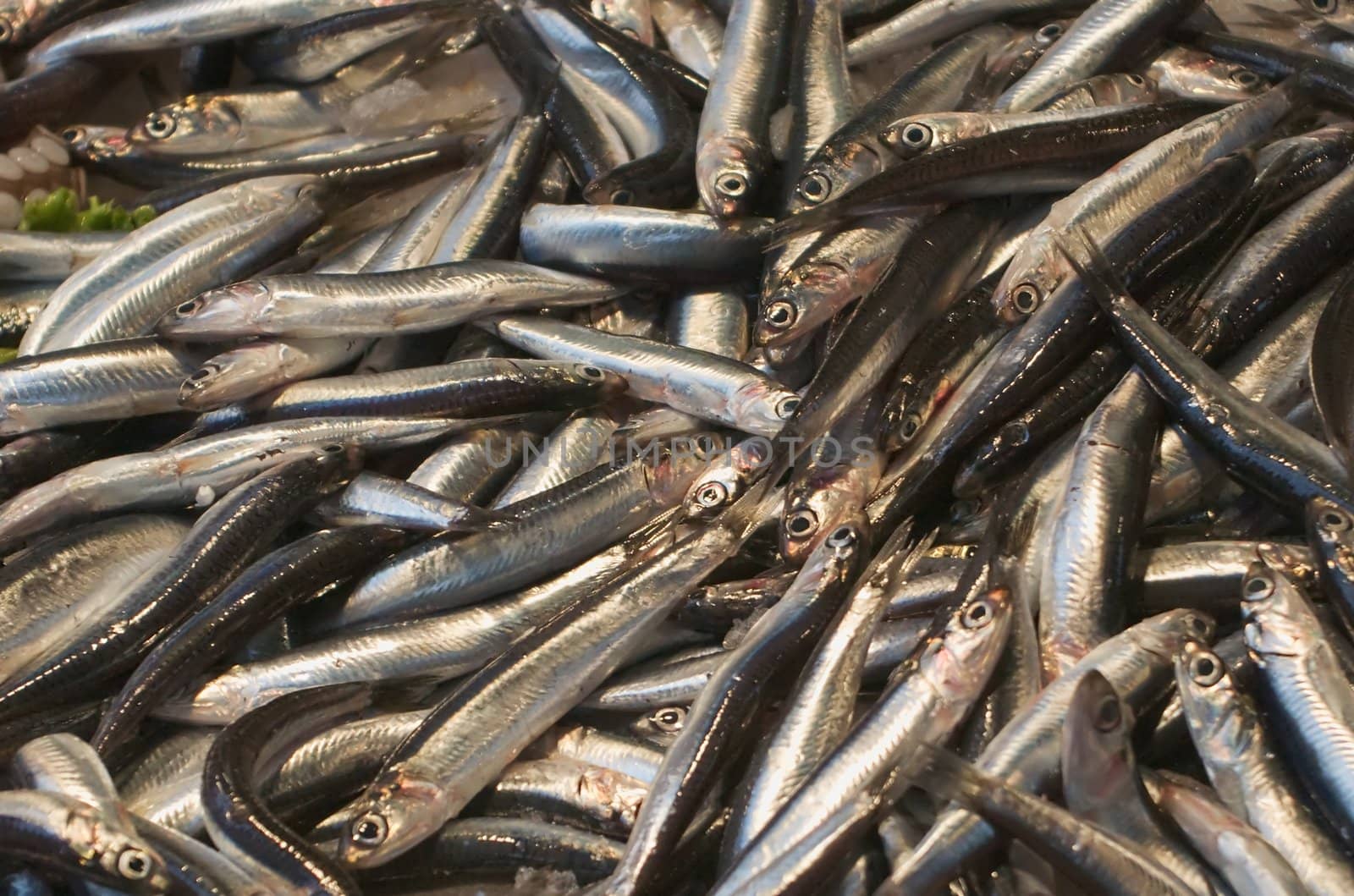 Small fish lying on the counter of the fish market