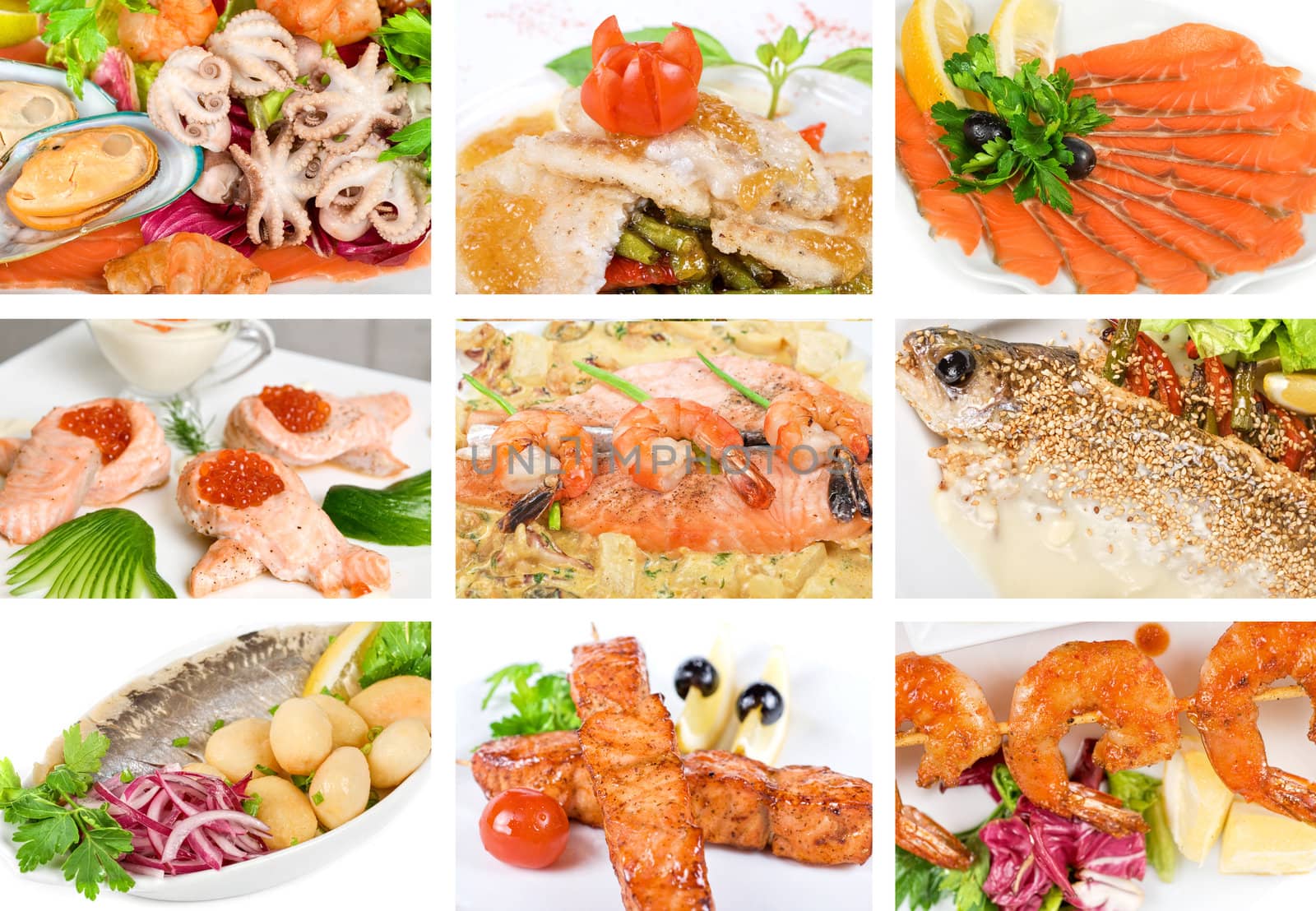 Set of different tasty fish dish