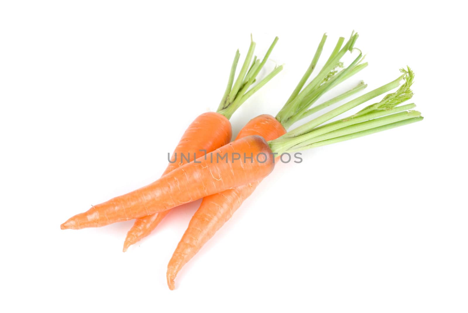 Ripe carrots isolated on a white background