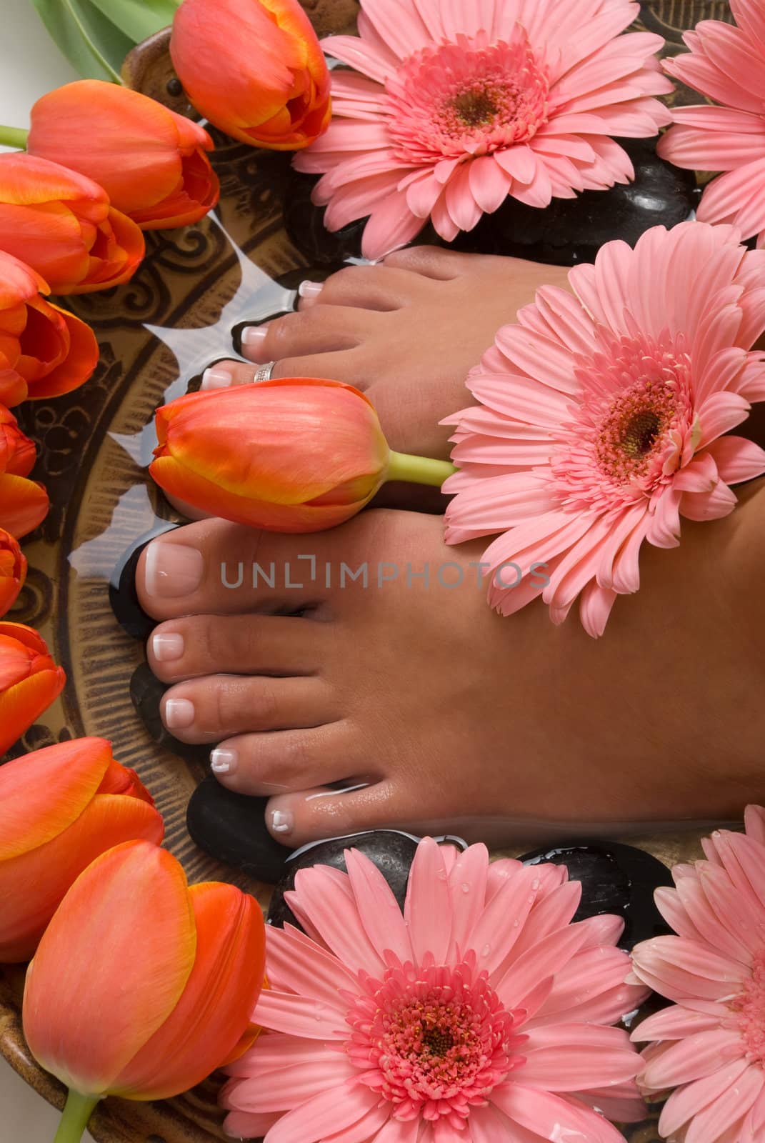 Spa treatment with beautiful elegant tulips and gerberas

