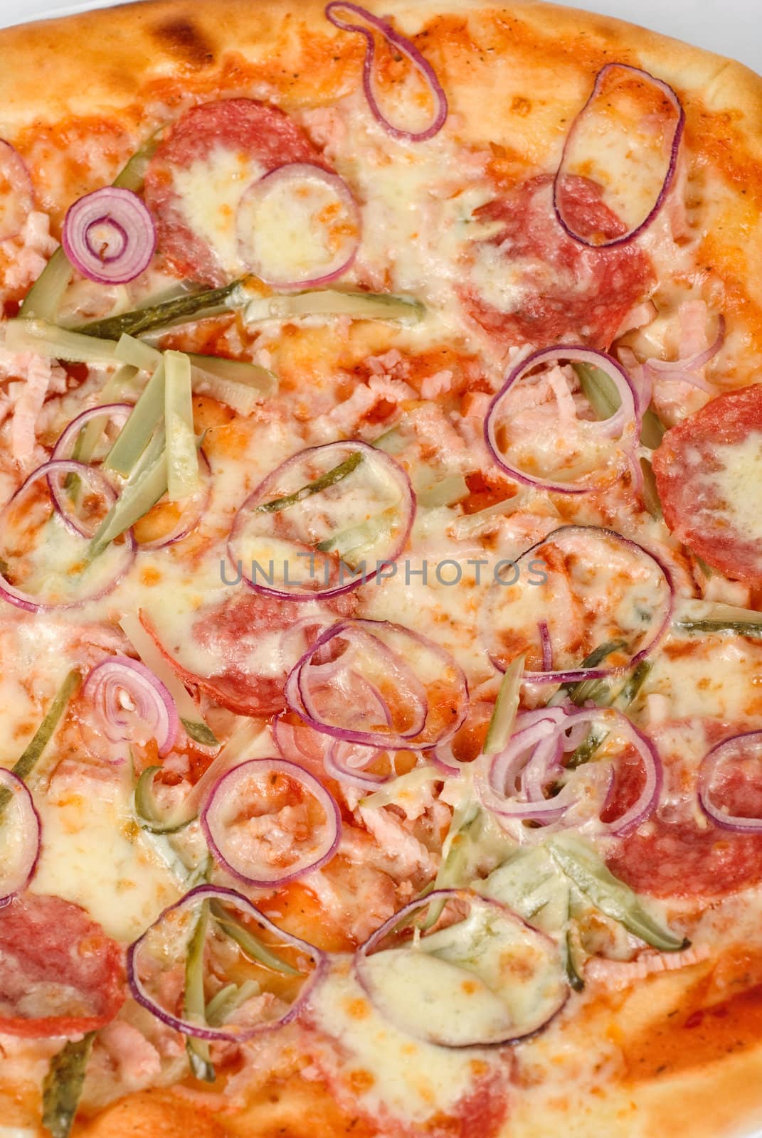 pizza closeup with smoked meat, salami, gherkin, onion and mozzarella cheese