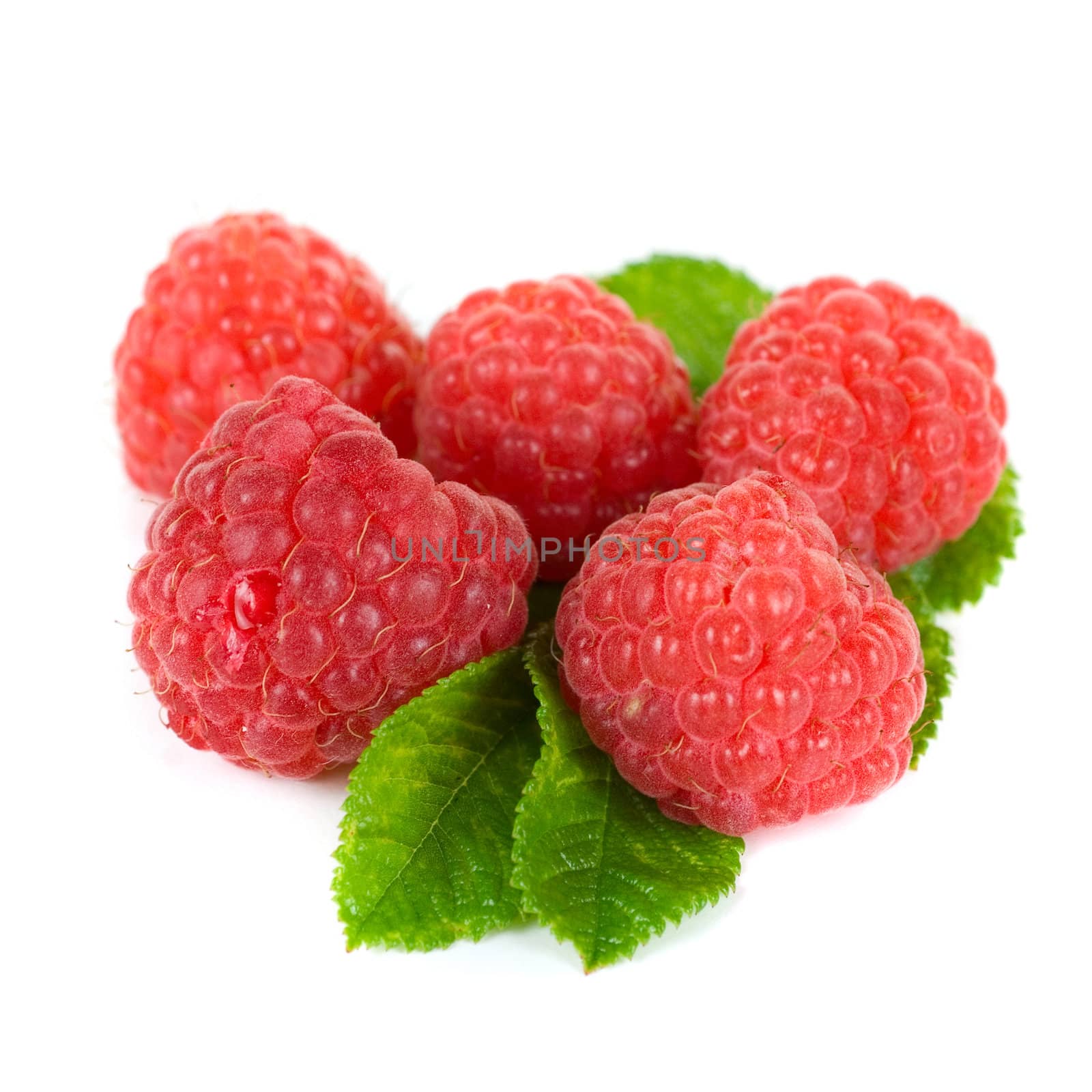 fresh raspberry by rusak