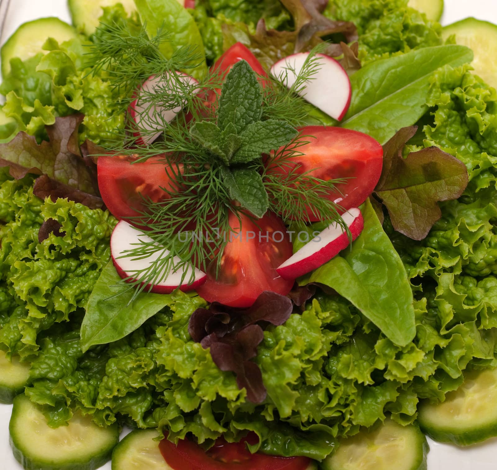 Fresh gourmet salad made with organic vegetables 